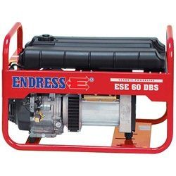 картинка Электростанция Endress ESE 60 DBS